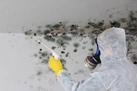 Best Residential Mold Inspection & Testing  in Cherry Valley, IL